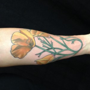 poppies color tattoo art nouveau movement forearm