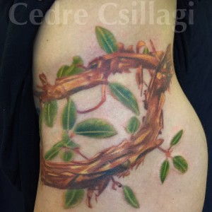 Madrone tattoo color botanical realism