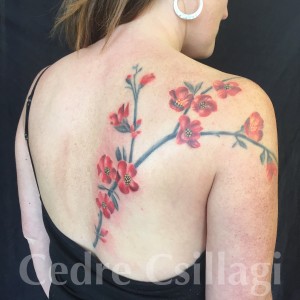 quince tattoo botanical