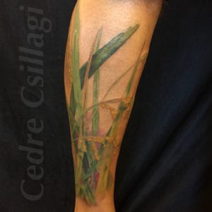 rice plant growth tattoo foliage