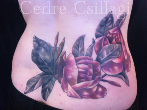 flower botanical color shading leaves