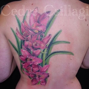 pink back tattoos orchids 