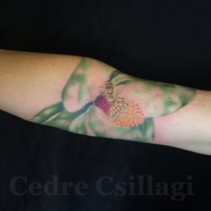 magnolia color tattoo abstract bee flower