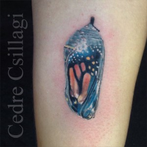 butterfly chrysalis color tattoo realism