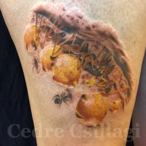 honeypot, ants, color, insect, tattoo, bugs, honey, 