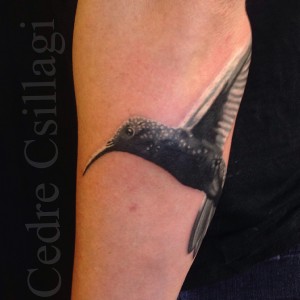 hummingbird black_and_grey tattoo realistic bird wings shading