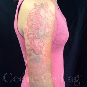 outline color peonies