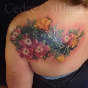 coverup color botanical flowers poppy background