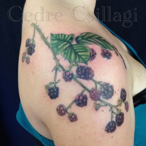 Color Tattoo Blackberries leaves vines