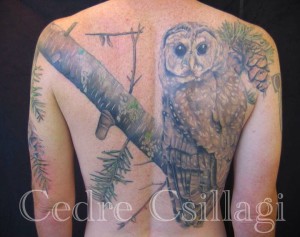 tree owl tattoo color coverup