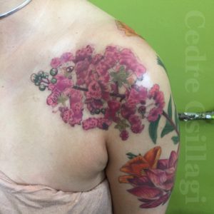 Tattoos – Cedre Csillagi