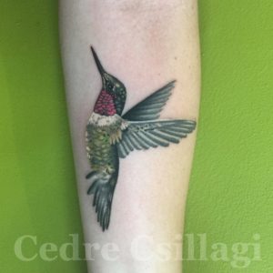 flight, bird, wings, detail, feathers, nectar, color, tattoo, shading