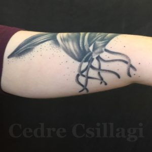 dots, roots, inner, arm