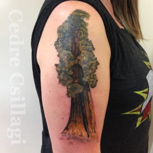 tree, tall, realism, arm, art, queer