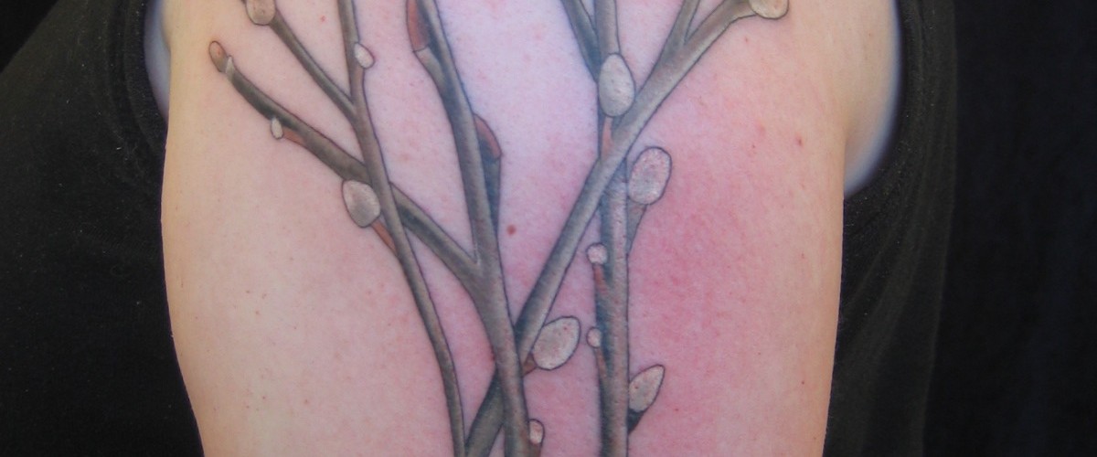 Pussy willow tattoos